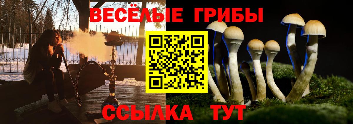 Псилоцибиновые грибы Magic Shrooms  как найти закладки  Псилоцибиновые грибы GOLDEN TEACHER  Оренбург  Вход с VPN 
